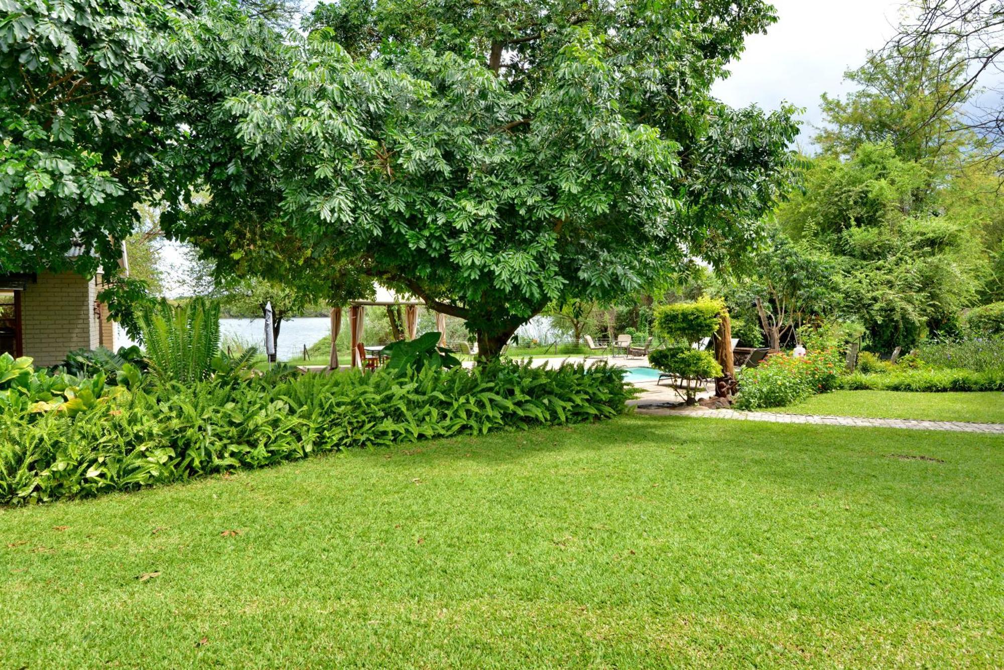 River View Lodge Kasane Rom bilde