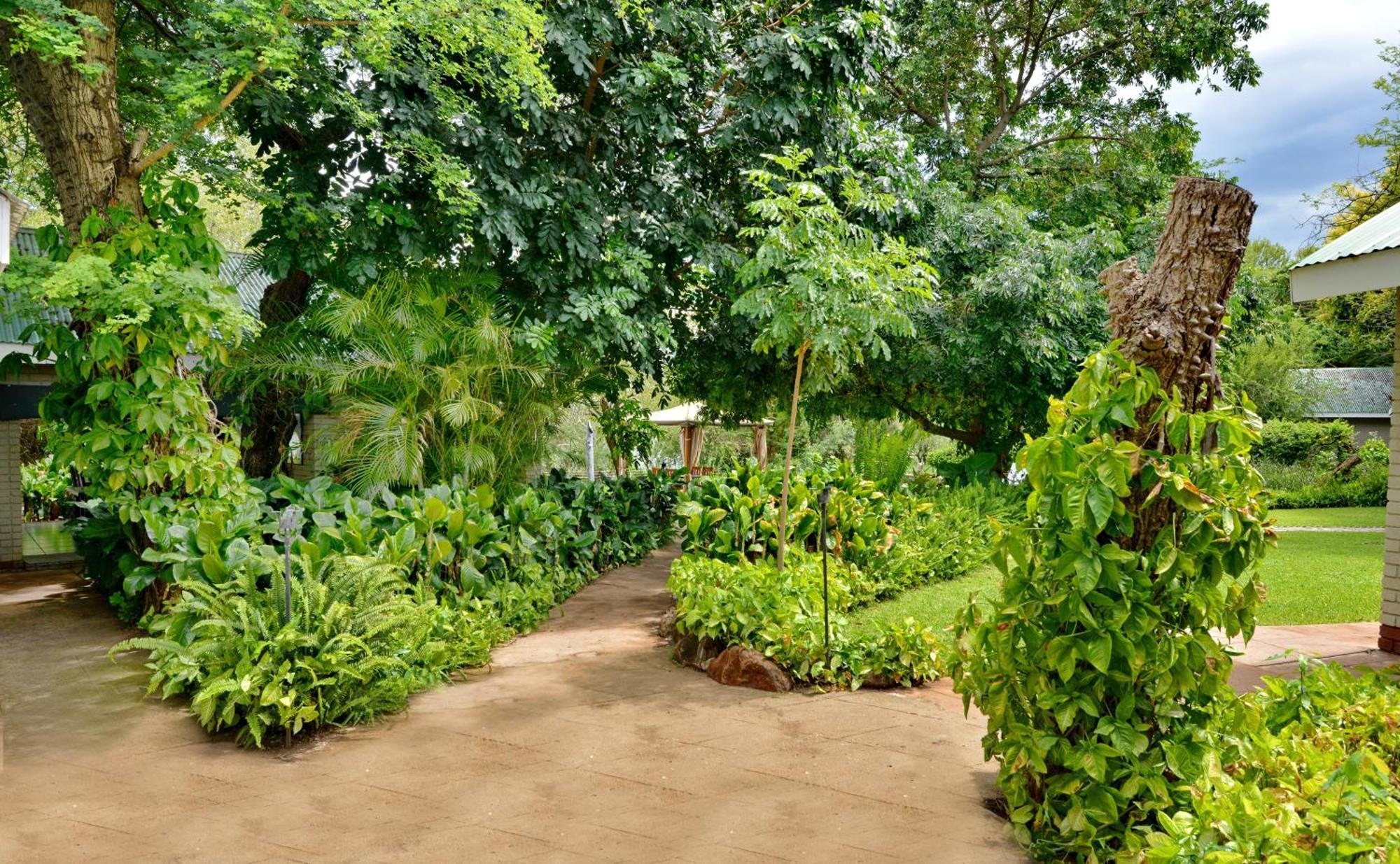 River View Lodge Kasane Rom bilde